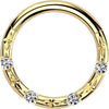 Titanium Ring 4 zirconia faceted cuts Segment