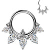Titanium Ring 5 zirconias balls Segment