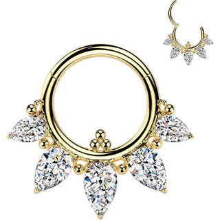 Titanium Ring 5 zirconias balls Segment