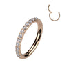 Titanium Ring Zirconia Segment