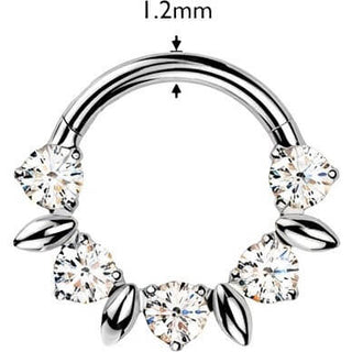 Titanium Ring zirconia round Segment