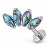 Titanium Labret Four Marquise Zirconia Fan Internally Threaded