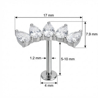 Titanio Labret Arco Curvo Cinque Cristalli Goccia Filettatura Interna