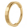 Titanium Ring Faceted Clicker
