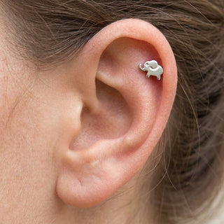 Titanium Labret Elephant Internally Threaded – getragen