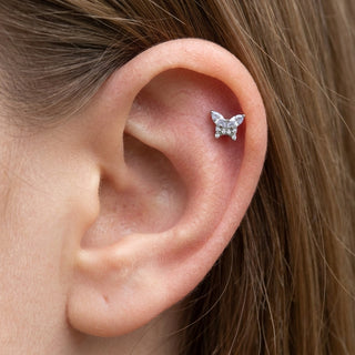 Titanium Labret Butterfly Zirconia Internally Threaded – getragen