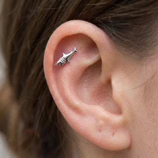 Titanium Labret Shark Internally Threaded – getragen