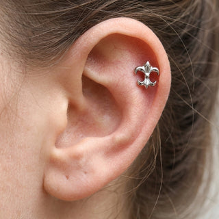 Titanium Labret Fleur de Lis Internally Threaded – getragen