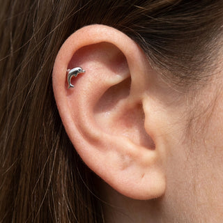 Titanium Labret Dolphin Internally Threaded – getragen