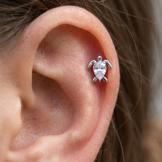 Titanium Labret Turtle Zirconia Internally Threaded – getragen