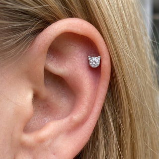 Titanium Labret Cat Zirconia Internally Threaded – getragen