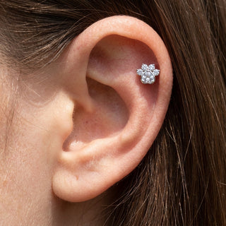 Titanium Labret Paw Zirconia Internally Threaded – getragen