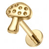 Titanium Labret Mushroom Internally Threaded