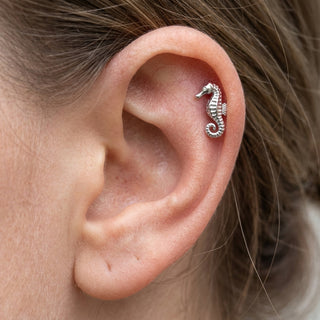 Titanium Labret Seahorse Internally Threaded – getragen