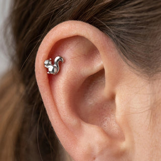Titanium Labret Squirrel Zirconia Internally Threaded – getragen
