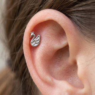 Titanium Labret Swan Internally Threaded – getragen