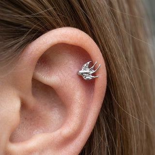 Titanium Labret Swallow Internally Threaded – getragen