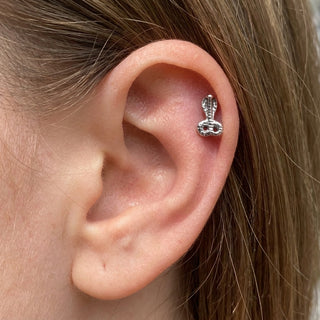 Titanium Labret Cobra Internally Threaded – getragen