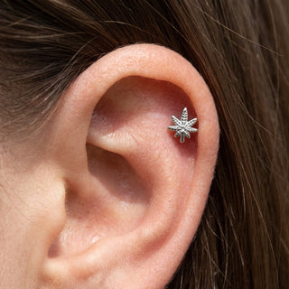 Titanium Labret Cannabis Leaf Internally Threaded – getragen