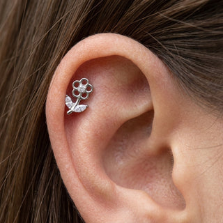 Titanium Labret Flower Leaf Marquise Zirconia Internally Threaded – getragen