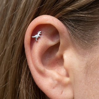 Titanium Labret Dinosaur Internally Threaded – getragen