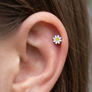 Titanium Top White And Yellow Daisy Flower Internally Threaded – getragen