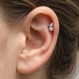 Titanium Labret Marquise Leaf Zirconia Internally Threaded – getragen