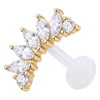 Titanium Labret Curved Marquise Stone Cluster Internally Threaded