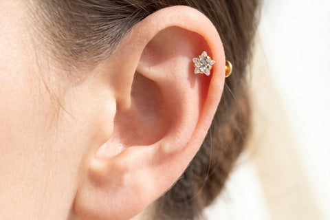 Piercing Helix Stella